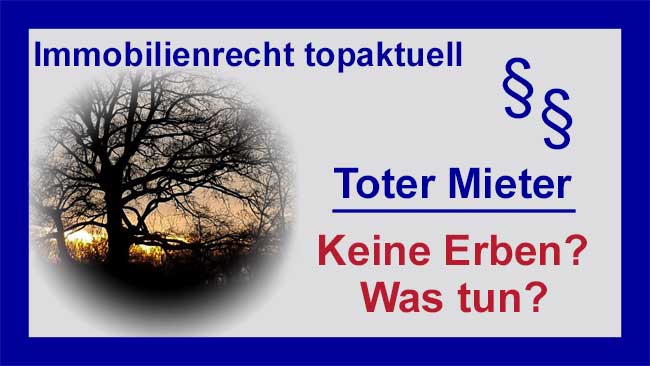 Sonnenuntergang - Copyright Sylvia Horst