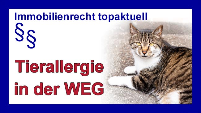 Tierallergie - Copyright Sylvia Horst